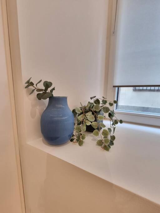 שטרסבורג Les Appartements Hyper Centre מראה חיצוני תמונה