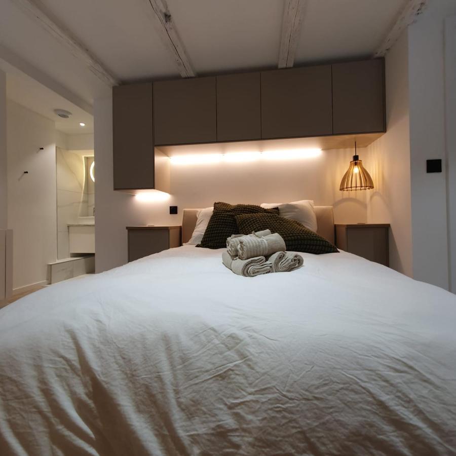 שטרסבורג Les Appartements Hyper Centre מראה חיצוני תמונה