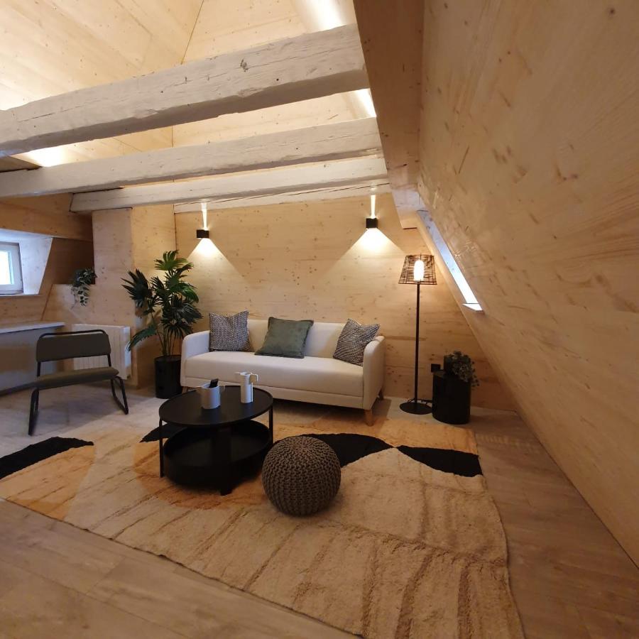 שטרסבורג Les Appartements Hyper Centre מראה חיצוני תמונה