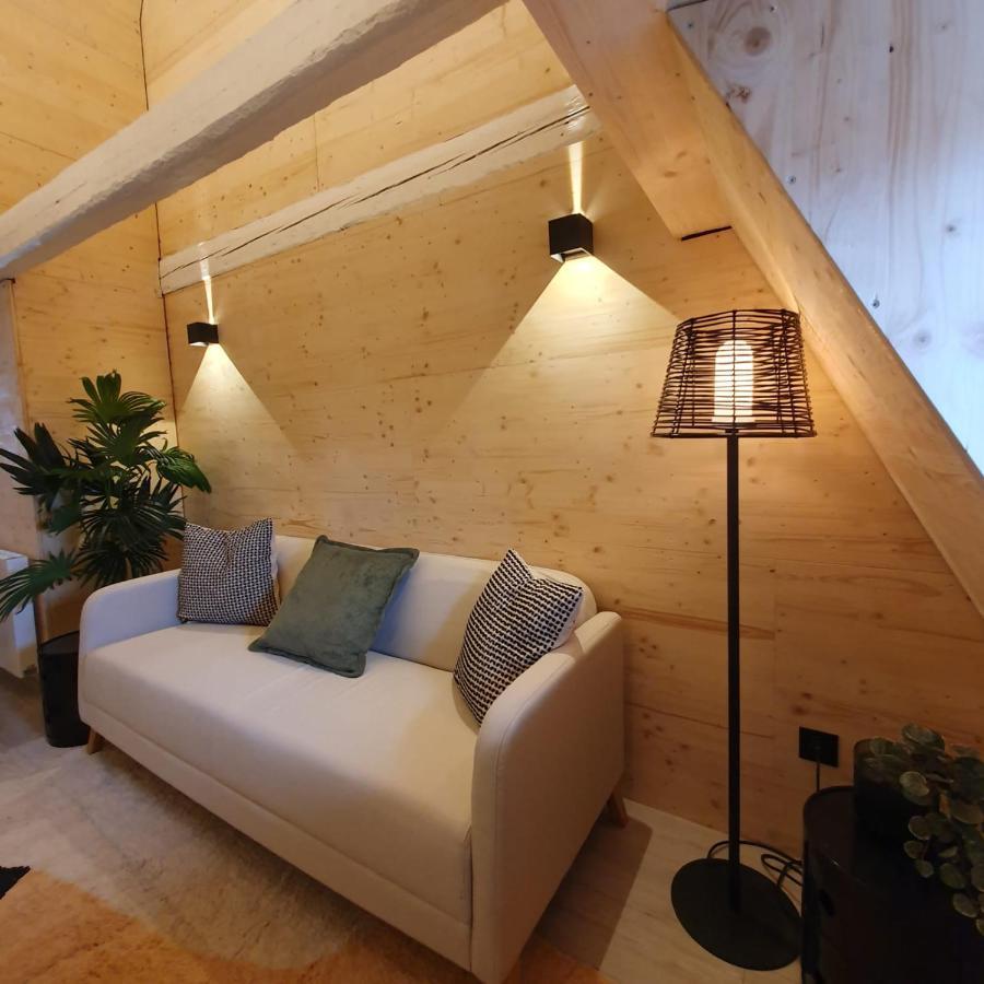 שטרסבורג Les Appartements Hyper Centre מראה חיצוני תמונה