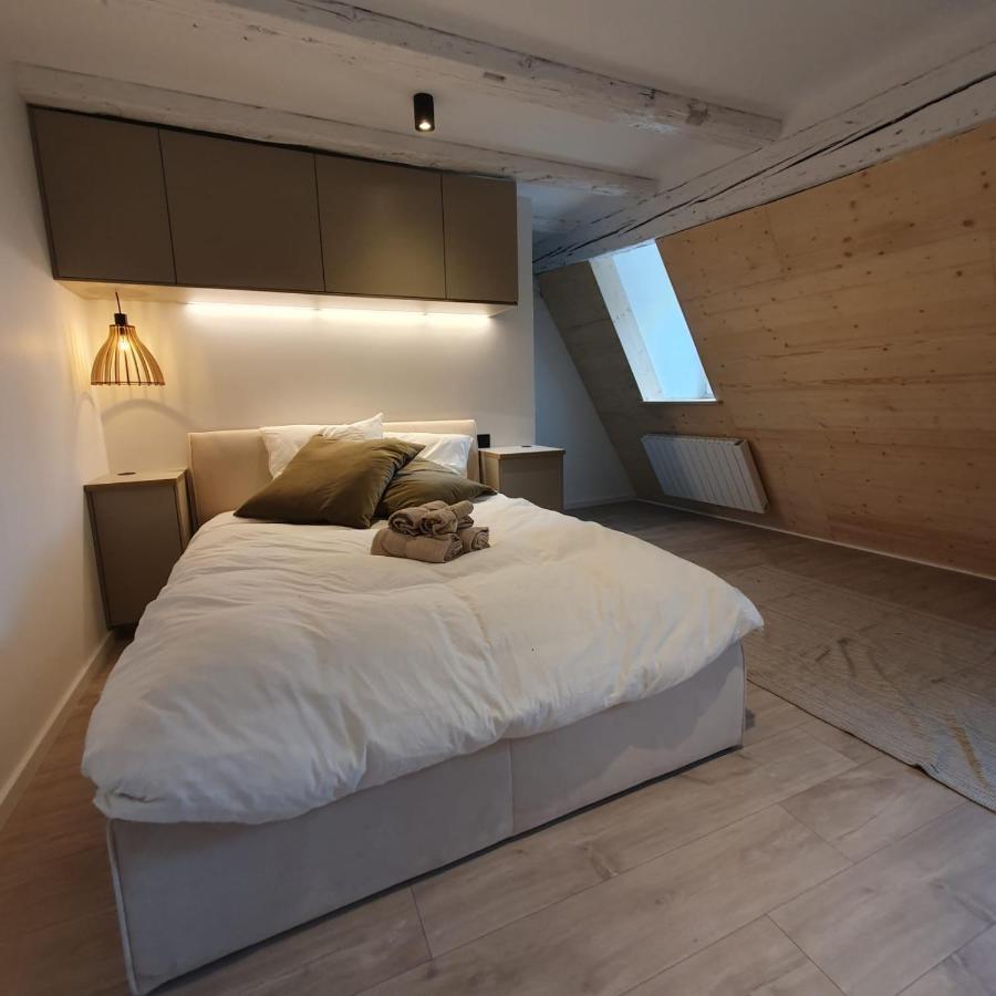 שטרסבורג Les Appartements Hyper Centre מראה חיצוני תמונה