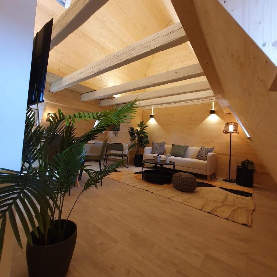 שטרסבורג Les Appartements Hyper Centre מראה חיצוני תמונה