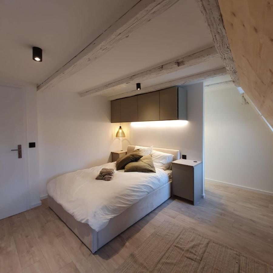 שטרסבורג Les Appartements Hyper Centre מראה חיצוני תמונה