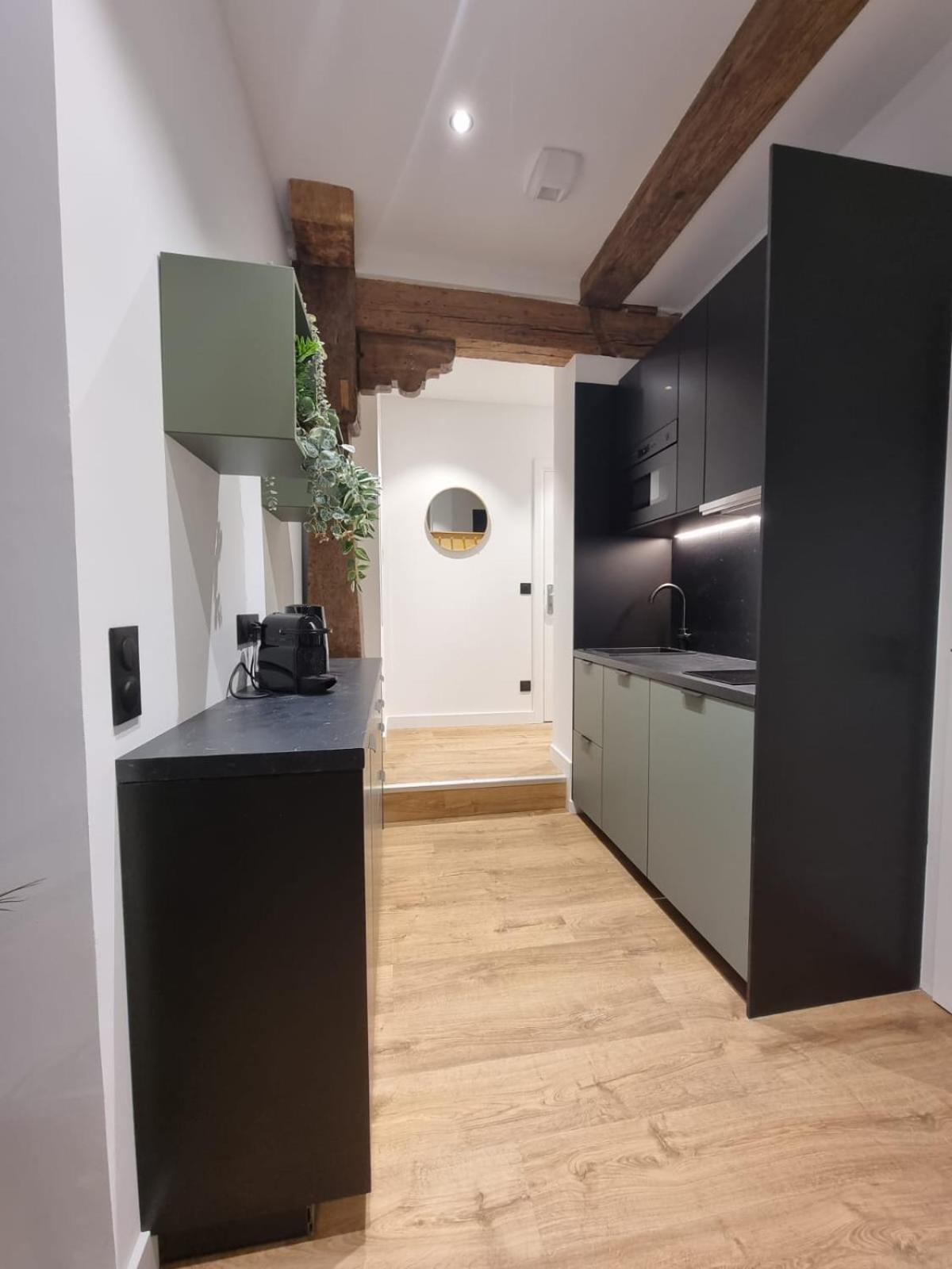 שטרסבורג Les Appartements Hyper Centre מראה חיצוני תמונה